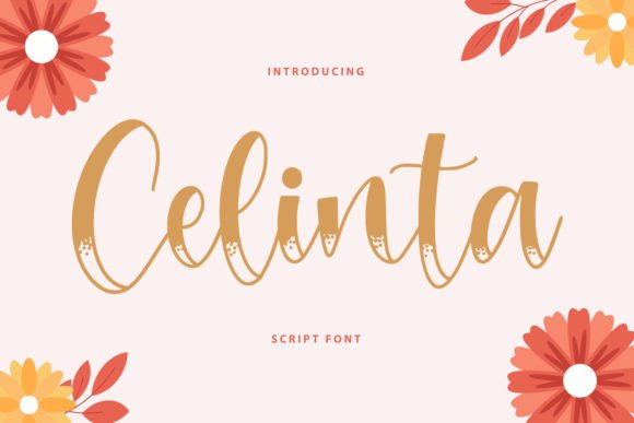 Celinta: A Designer’s Take on Real-World Use for Branding and Beyond