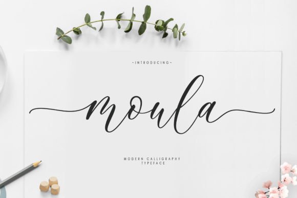 Elegant Calligraphy Script Font: Moula for Brand Designers