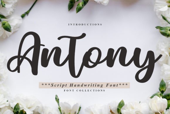 How Antony Font Brought Playful Energy to My Campaign Visuals