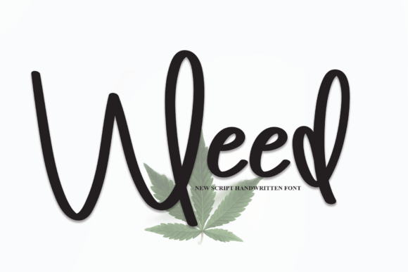 How Weed Font Adds Luxury and Personality to Modern Web Design