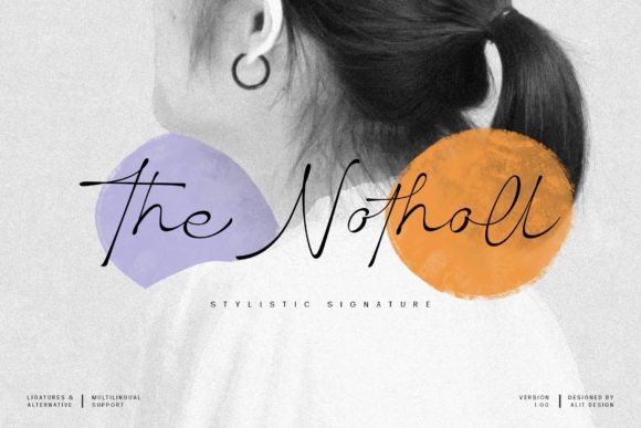 The Notholl: A Charming Script Font for Elegant Web Design